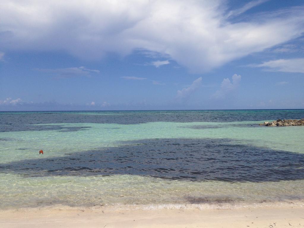 Seacastles By The Beach/Pool Montego Bay Buitenkant foto